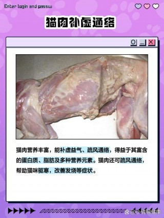 猫咪能吃猪肉吗？猫咪吃猪肉吗会怎么样（最新）