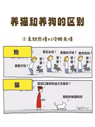 猫咪和狗狗可以养在一起吗，猫咪和狗狗可以养在一起吗？