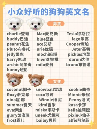 狗狗名字英文名女，狗狗时髦好听英文名字女？
