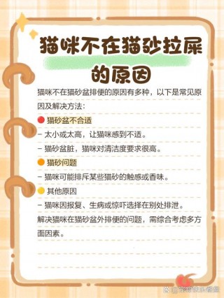 猫咪为什么会用猫砂，猫为什么喜欢用猫砂？