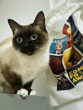 猫咪胡子根部变黑？猫咪胡子根部发黑（最新）