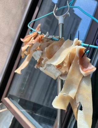 狗狗吃猪皮好吗？狗狗吃猪皮好处和坏处（最新）