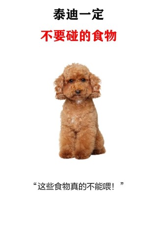 泰迪狗狗能吃核桃吗？泰迪可以吃核桃仁吗?（最新）