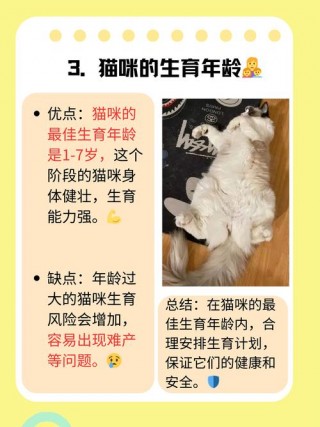 猫咪几个月生宝宝，猫咪几个月生孩子比较好？