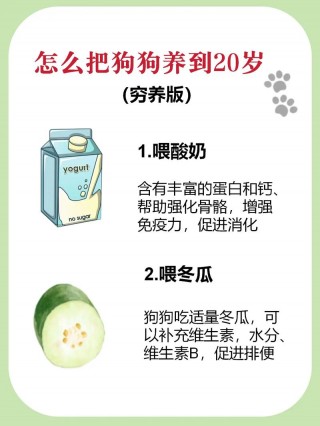 怎样让狗狗吃狗粮，（怎样让小狗吃狗粮）