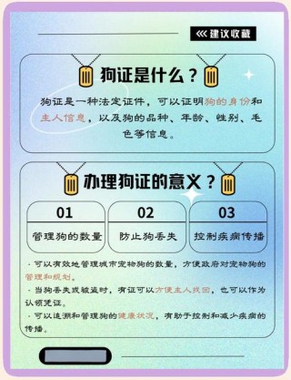 狗狗多大可以办狗证，（2025年狗证新规）