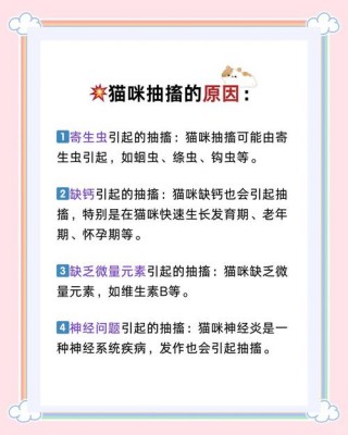 猫咪抽搐不停发抖，猫咪抽搐不停发抖怎么办？