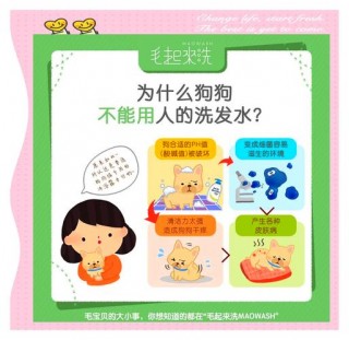 狗狗可以用洗发水洗澡吗，狗狗能用洗发膏洗澡吗？