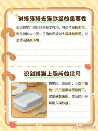 怎么训练猫猫，（怎么训练猫猫岛喵喵喵拳视频）