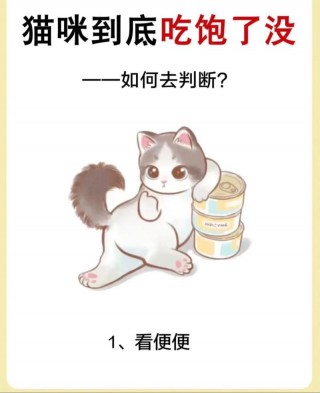 怎么知道猫咪吃饱了，（怎样判断猫咪吃饱了）
