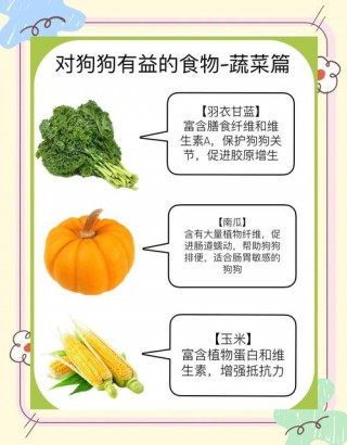 狗狗吃什么蔬菜好，狗最爱吃的10种蔬菜？