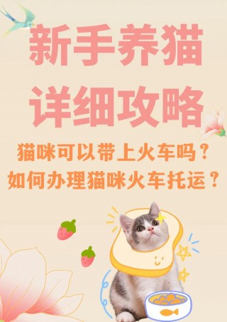 猫咪可以坐火车吗？坐高铁可以带猫咪吗（最新）