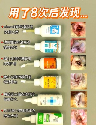 猫咪滴耳液前十品牌，猫咪滴耳液使用方法？