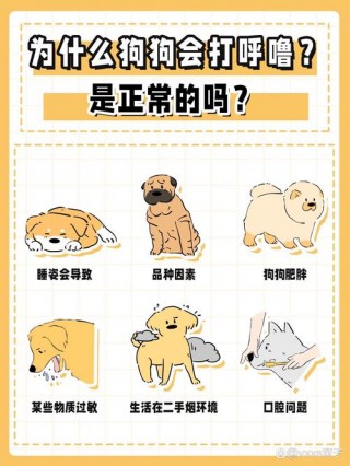 狗狗打呼噜是什么原因？狗狗打呼噜是什么原因引起的（最新）