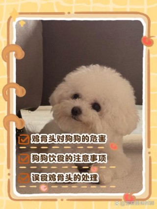 狗狗可以吃生鸡腿吗，狗狗可以吃生鸡腿吗?？