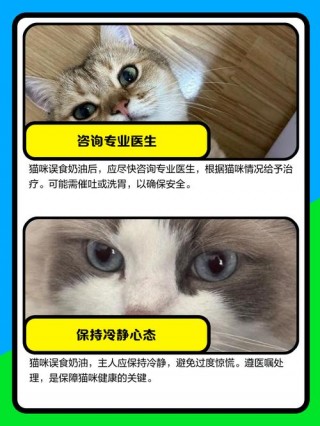 猫咪可以吃奶油吗，猫咪可以吃奶油吗有营养吗？
