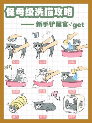 怎样给猫咪洗澡，怎样给猫咪洗澡它才不会乱动？