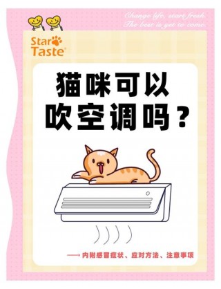 猫咪吹空调会怎么样？猫咪吹空调会生病吗（最新）