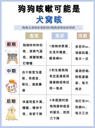 狗狗感冒的表现，（狗狗感冒的表现幼犬）