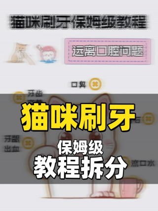 怎么给猫猫刷牙？猫咪怎么给刷牙（最新）