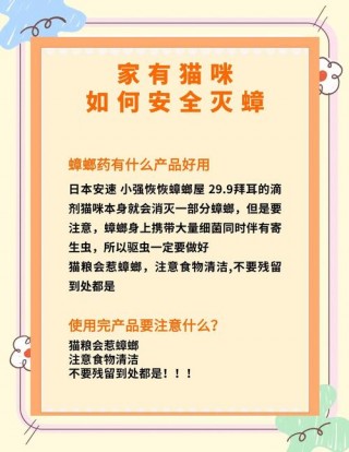 猫咪吃蟑螂怎么办，（猫咪吃蟑螂没事儿吧）