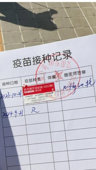 狗狗打完疫苗有证明吗，狗狗打了疫苗能看出来吗？