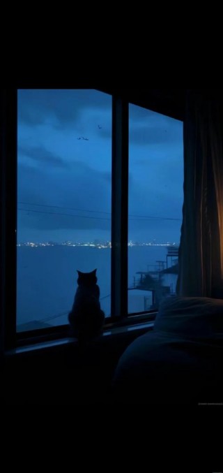 猫咪一个人在家会孤单吗，（猫一个人在家会寂寞吗）