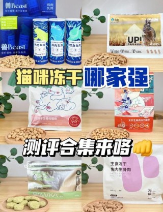 猫咪冻干怎么吃？猫咪冻干吃多了会怎么样（最新）