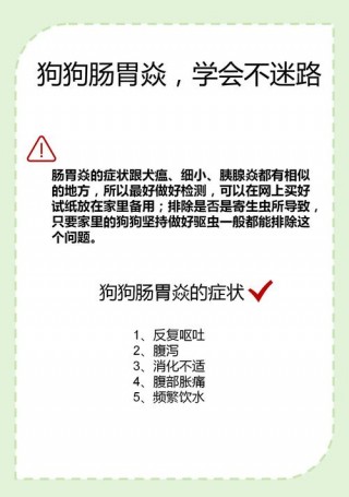 狗狗得了急性肠胃炎怎么办，狗狗急性肠胃炎会自愈吗？