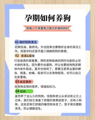 怀孕能抱狗狗吗，怀孕可以抱狗狗么？