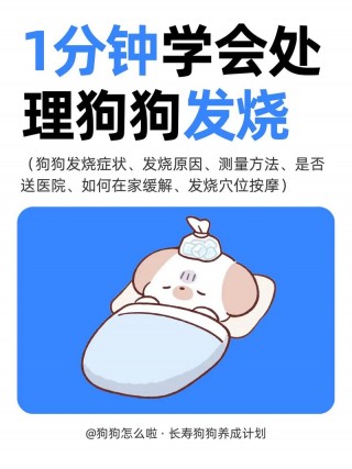 怎么知道狗狗发烧？怎么知道狗狗发烧没（最新）