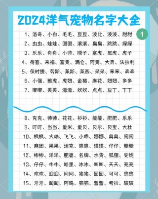 给小狗狗起名字大全，（狗狗起个旺主人的名字）