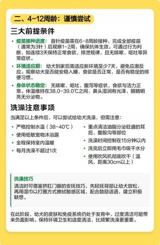 多大的狗狗可以洗澡，（多大的小狗才可以洗澡）
