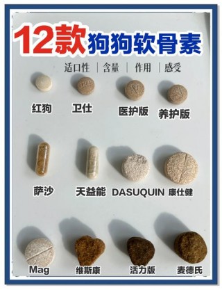 狗狗软骨病怎么治，狗狗软骨病药物治疗方法？