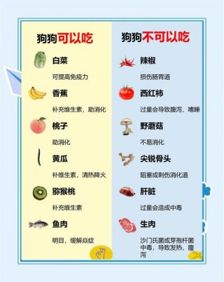 狗狗能吃面食吗，狗狗能不能吃面食？