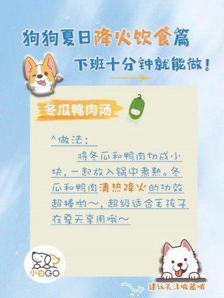 狗狗去火应该吃啥？狗狗去火应该吃啥水果（最新）