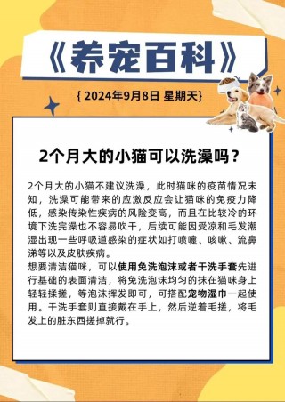 猫咪能经常洗澡吗，（猫咪可以老洗澡吗）