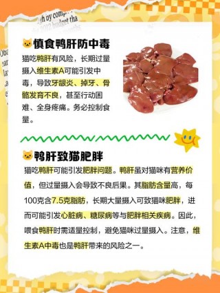 猫咪可以吃鸭肝吗？猫可以吃鸭肝脏吗（最新）