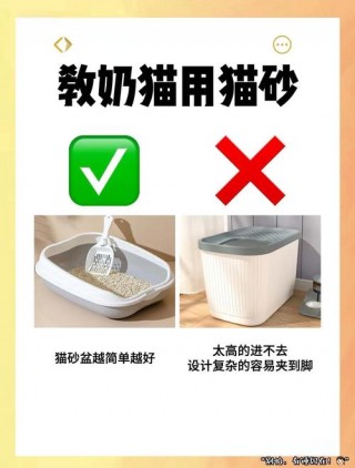 猫砂可以给狗狗用吗，猫砂给狗用好使吗？
