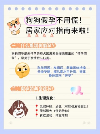 怎样防止狗狗怀孕，（怎样防止狗狗怀孕 ,可以吃避孕药吗）