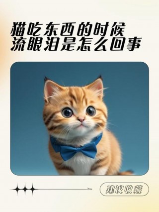 猫咪吃东西流泪？猫咪吃东西流泪什么原因（最新）