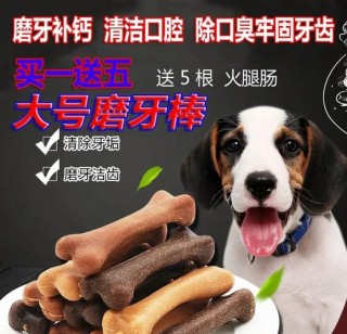 磨牙棒狗狗几个月能吃，狗狗磨牙棒多大开始吃？