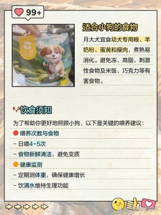 一个多月的狗狗吃什么？一个多月的狗应该吃什么（最新）