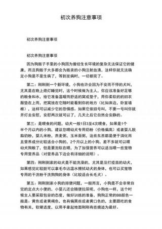 刚买来的狗狗注意事项，刚买的狗狗应该注意什么？