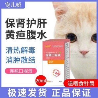 狗狗腹积水怎么治疗？狗狗腹水最快恢复方法（最新）