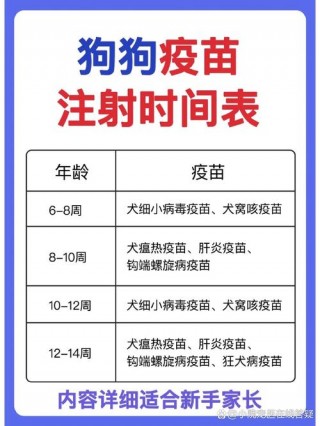 狗狗多大开始打疫苗，（狗狗多大打疫苗合适）