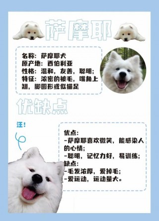 狗狗的饲养方法？狗狗的饲养方法有哪些（最新）