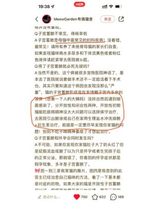 猫咪子宫蓄脓怎么治疗？猫咪子宫蓄脓治疗方法（最新）
