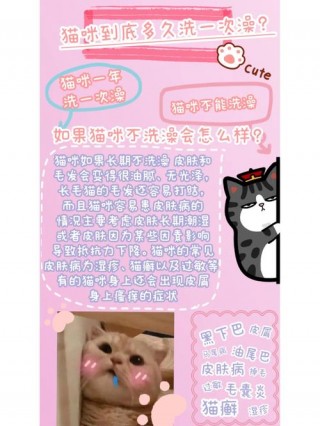 猫咪多久洗一次澡比较好，（家养猫咪多久洗一次澡比较好）