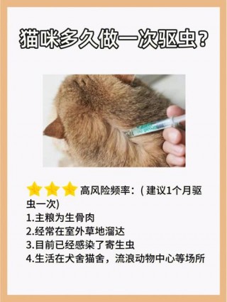 猫咪多久驱一次虫？猫咪多久驱一次虫体内体外一起（最新）